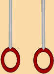 Swing Rings